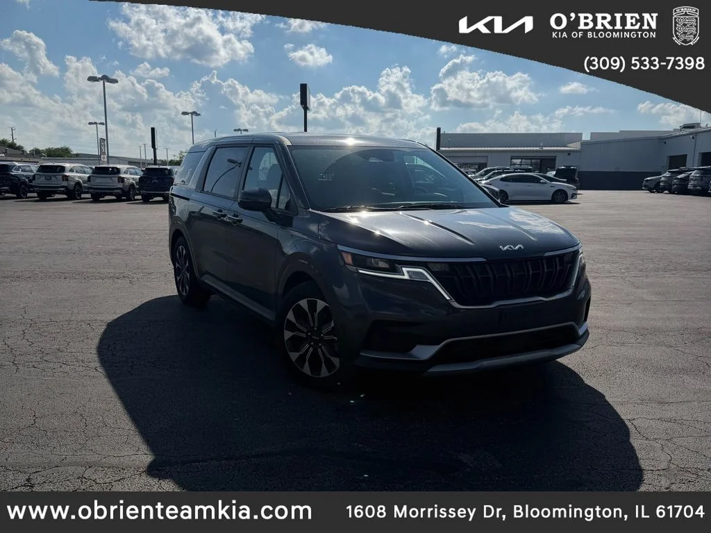 Used 2024 Panthera Metal Kia EX image 1