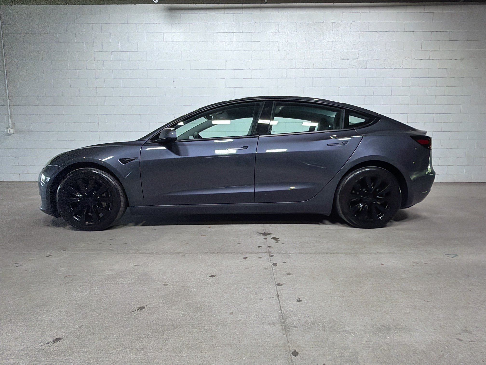 Used 2023 Tesla Model 3 Base with VIN 5YJ3E1EA2PF646125 for sale in Tampa, FL