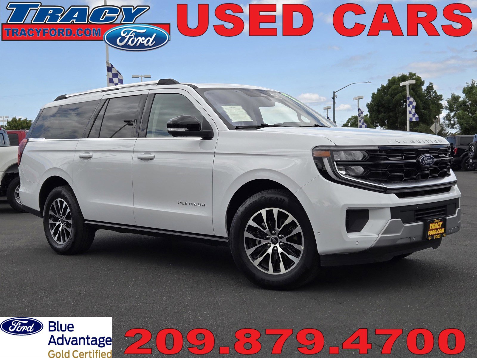 2025 Ford Expedition Platinum MAX 4x4's photo