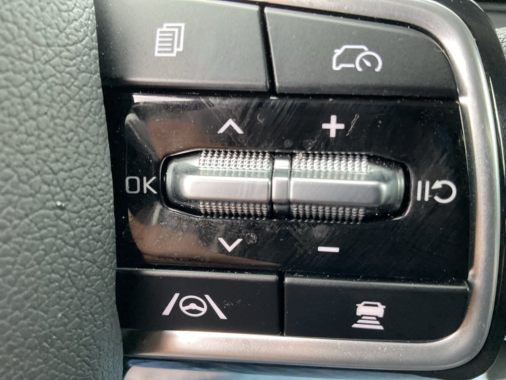 Used 2025 Panthera Metal Kia LX image 31