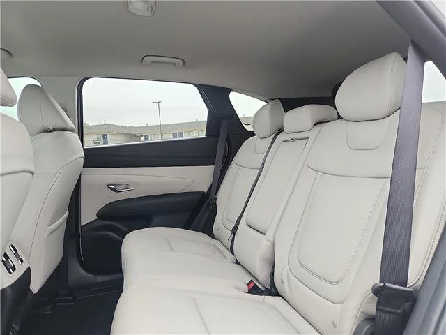 New 2026 Serenity White Pearl Hyundai SEL image 8