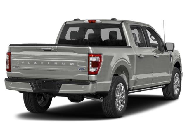 Used 2023 Black Metallic Ford Platinum image 2