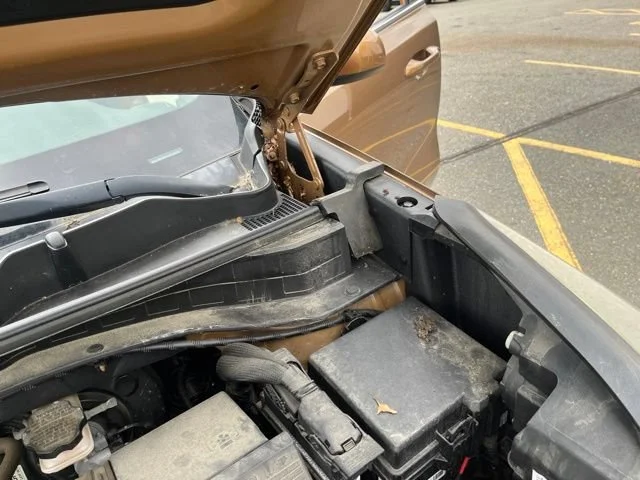 Used 2017 Burnished Copper Kia LX image 23