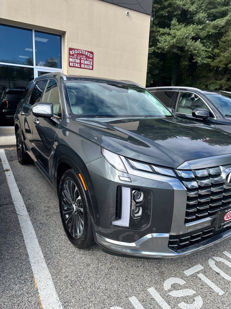 2024 Hyundai Palisade Calligraphy - Photo 2