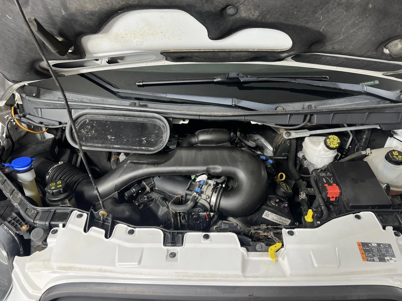 Used 2016 Wh Ford  image 11