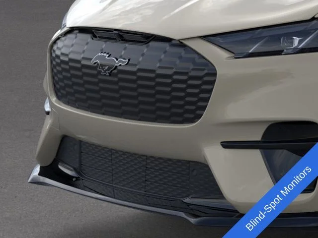 New 2026 Desert Sand Ford GT image 20