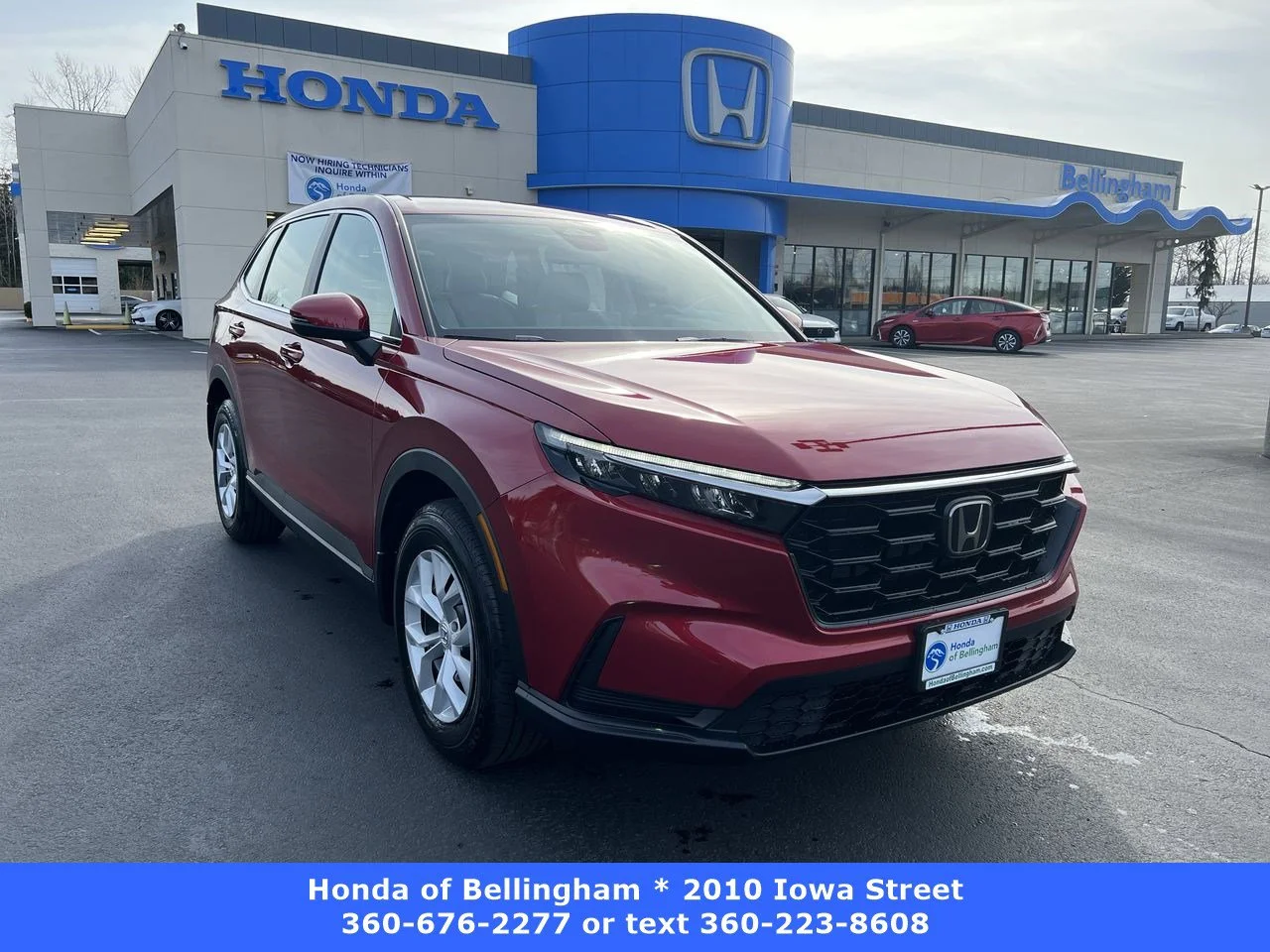 2023 Honda CR-V LX AWD's photo