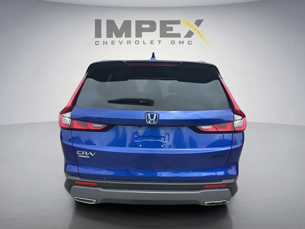 Used 2025 Blue Honda Sport image 3