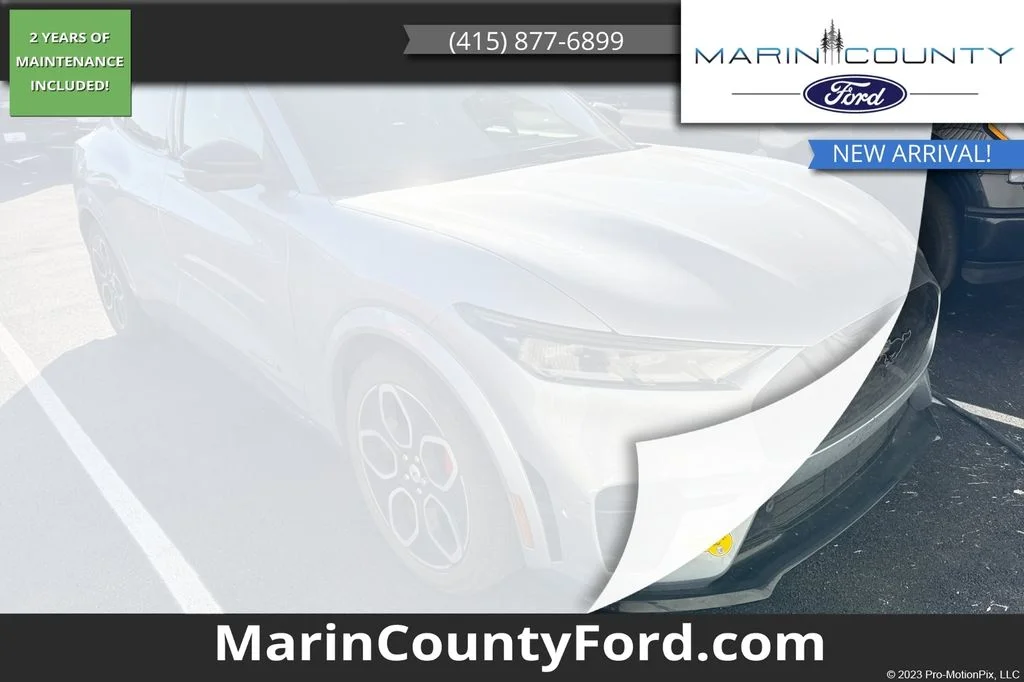 2022 Ford Mustang-Mach-e GT's photo