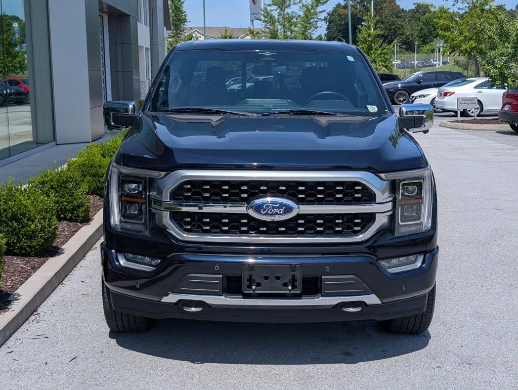 Used 2023 Blue Ford Platinum image 10