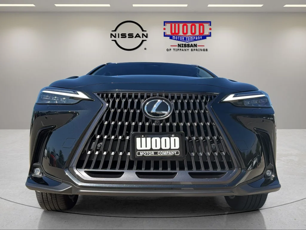 Used 2025 Obsidian Lexus Luxury image 6