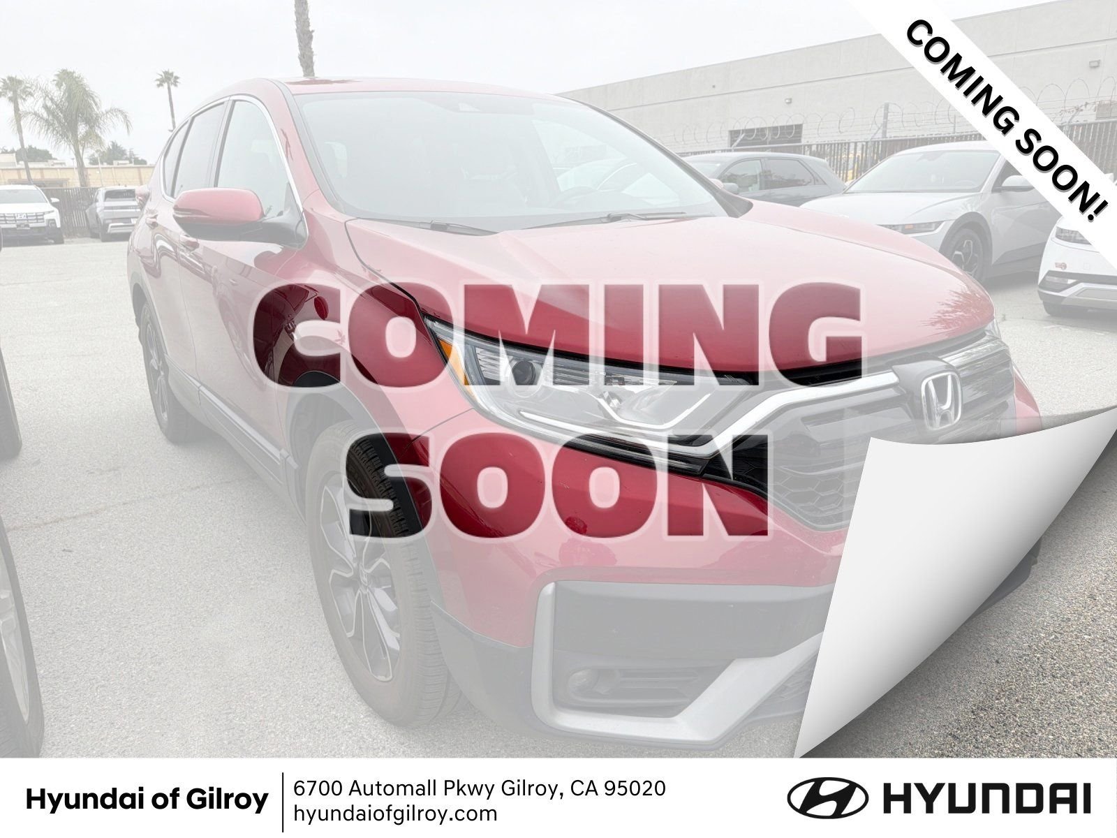 2021 Honda CR-V EX-L 2WD's photo