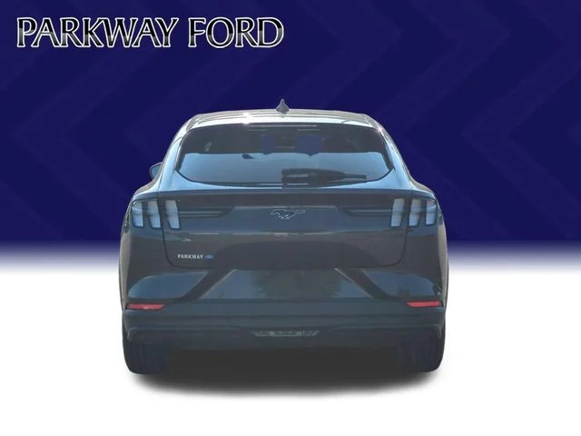Used 2021 Gray Ford Select image 4