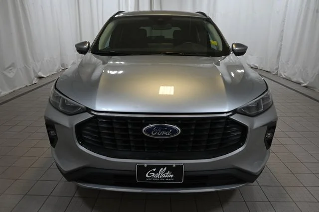 Used 2024 Silver Ford Platinum image 16