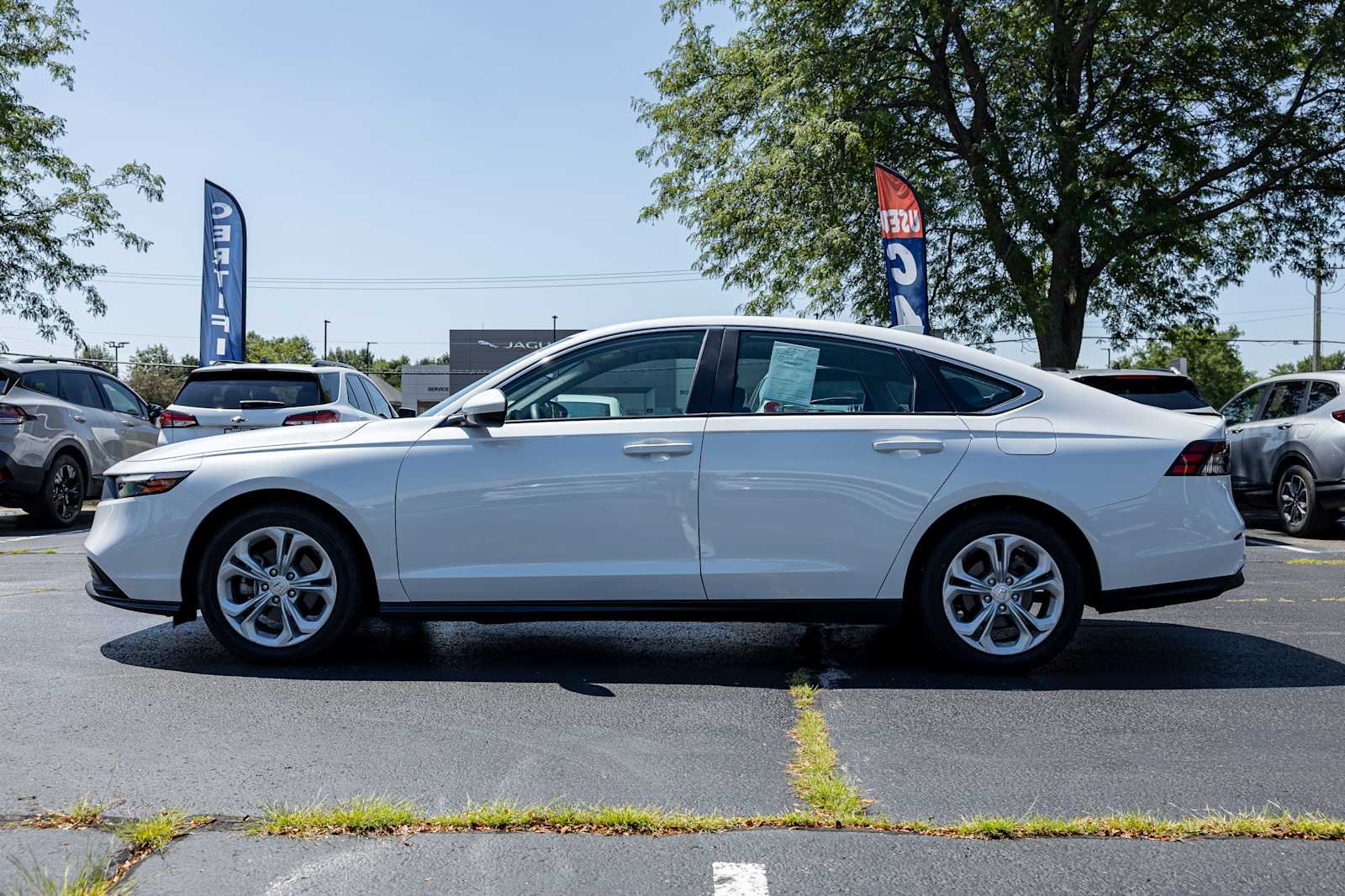 Used 2024 Platinum White Pearl Honda LX image 4