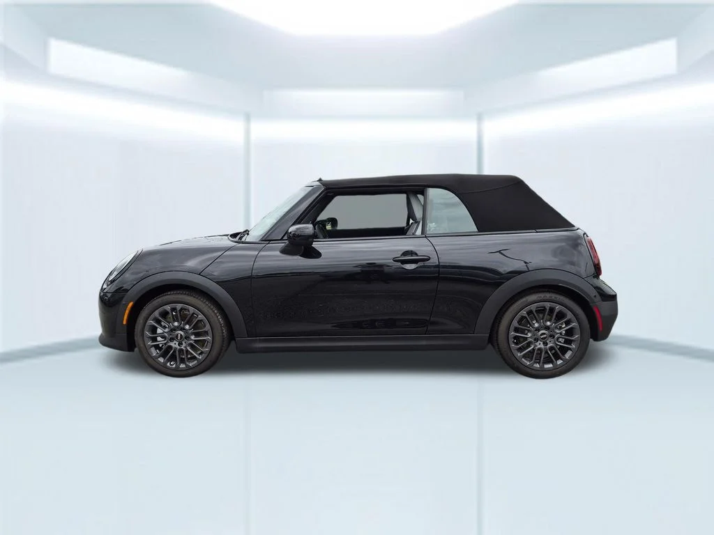 New 2026 Black MINI  image 2