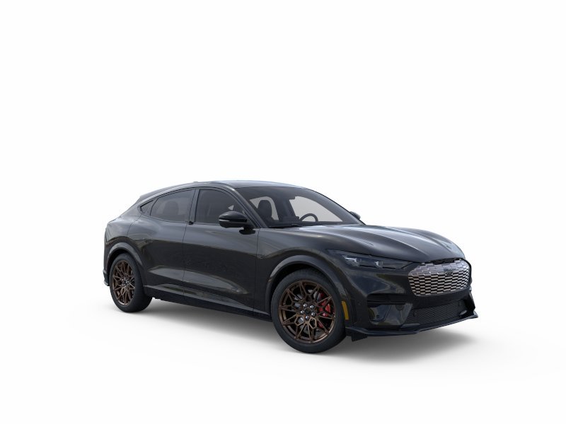 2025 Ford Mustang Mach-E GT - Photo 27