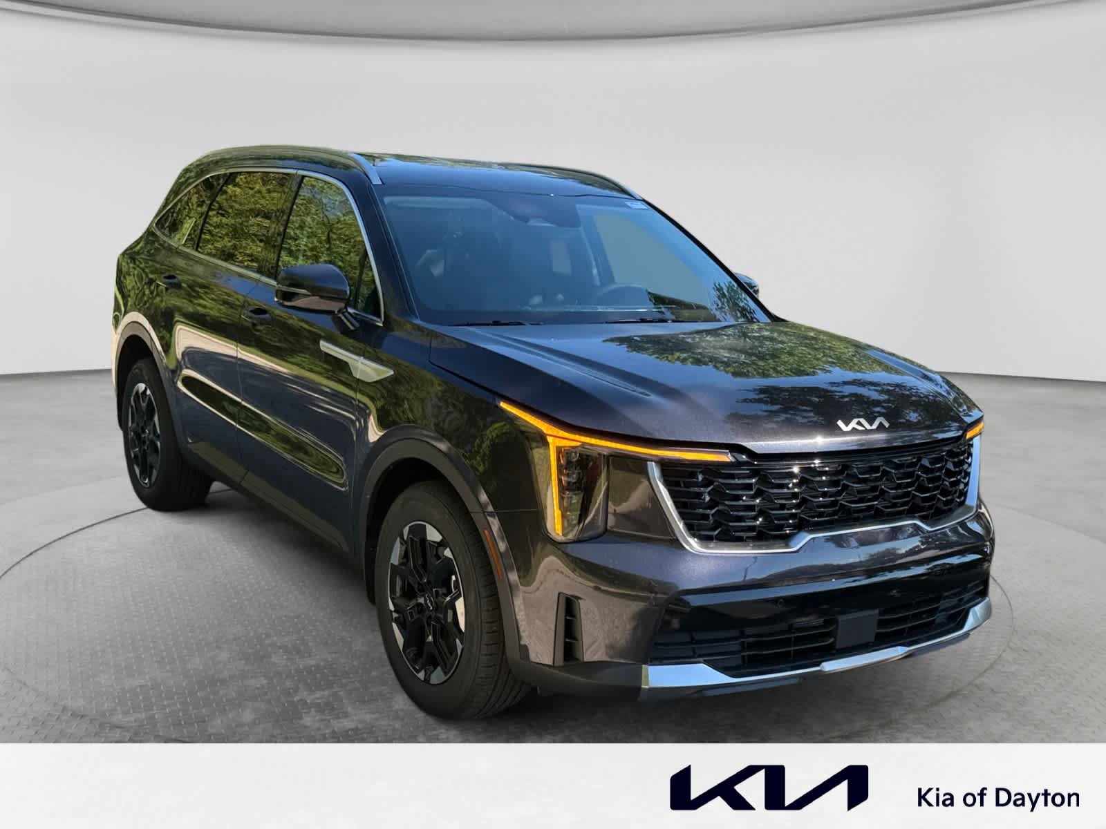 New 2026 Panthera Metal Kia S image 3