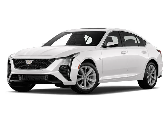 Used 2025 Typhoon Metallic Cadillac Sport image 4