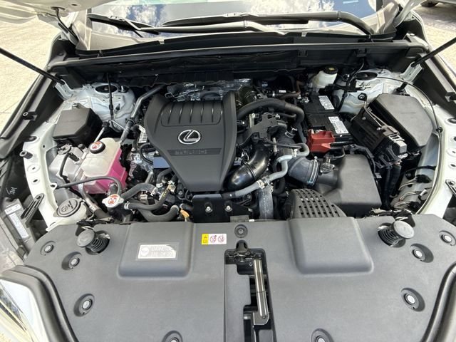 2024 Lexus NX 350 - Photo 27