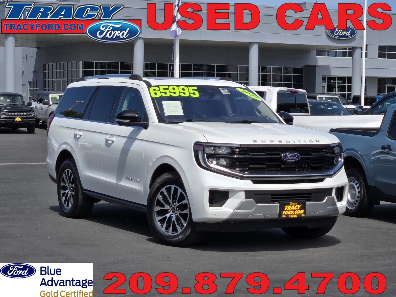 2025 Ford Expedition Platinum 4x4's photo