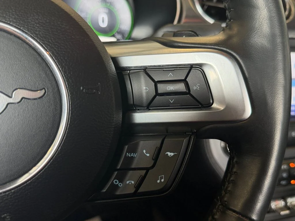 Used 2023 Green Ford Mach 1 image 31