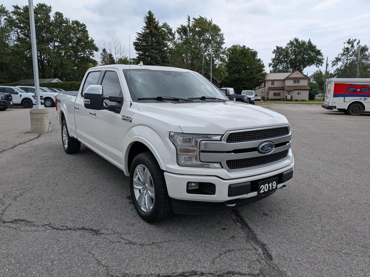 Used 2019 White Ford Platinum image 3
