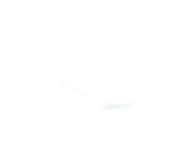 Used 2026 White Subaru Wilderness image 10