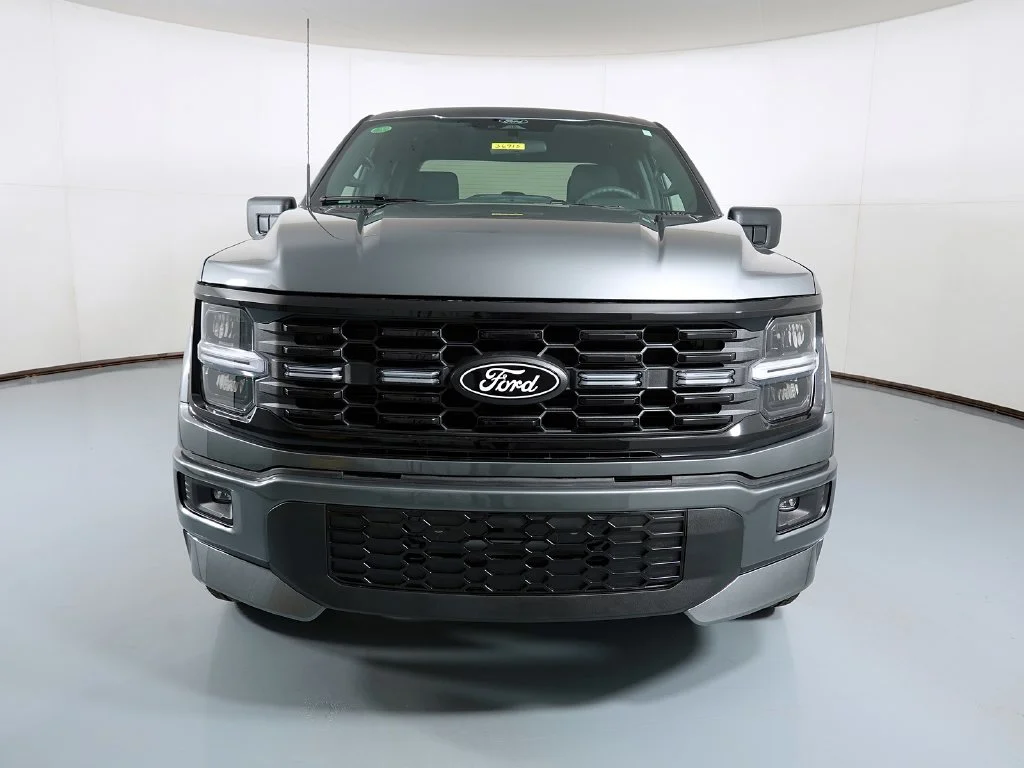 New 2026 Gray Ford STX image 3