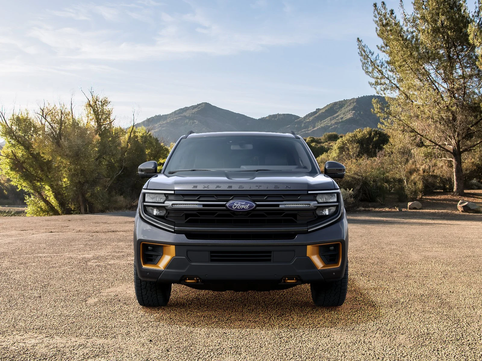 New 2027 Dark Matter Gray Metallic Ford Tremor® image 27