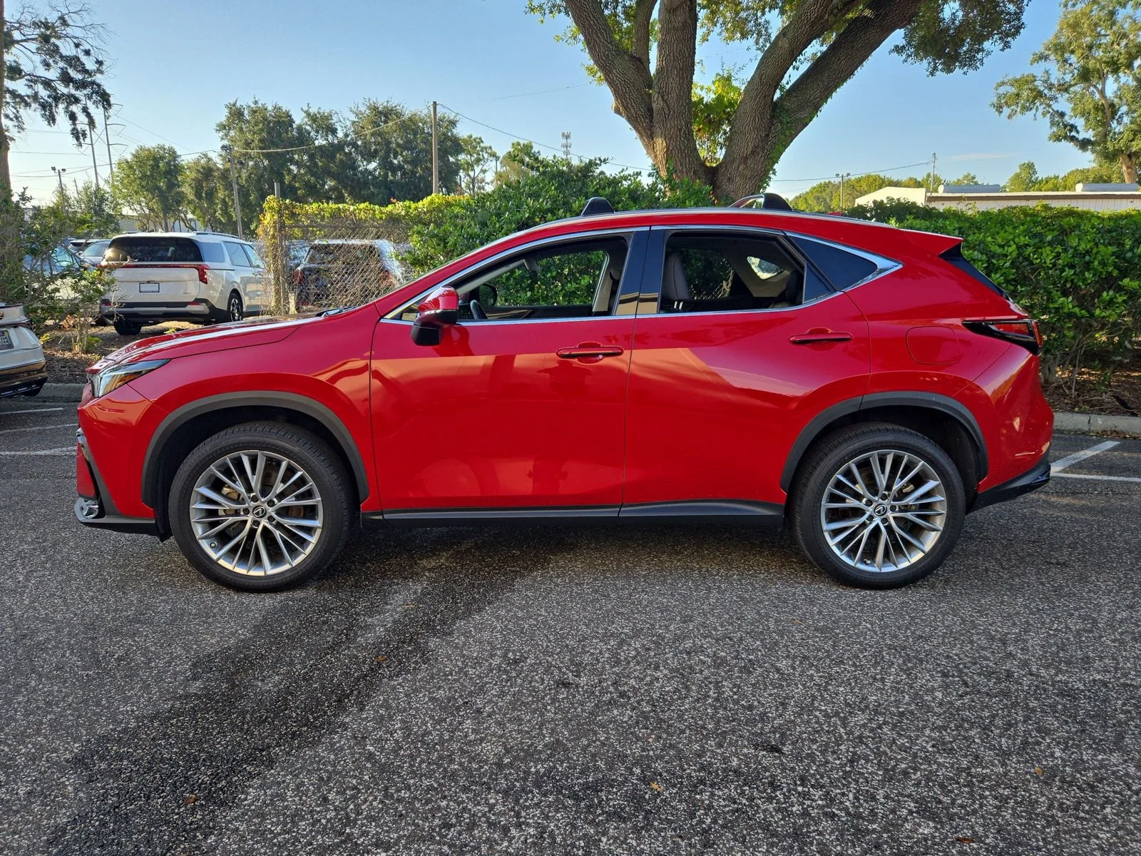 Used 2025 Redline Lexus NX 350h Premium image 8
