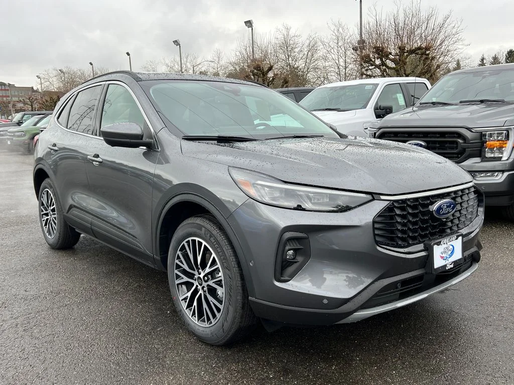 New 2024 Gray Ford Base image 1
