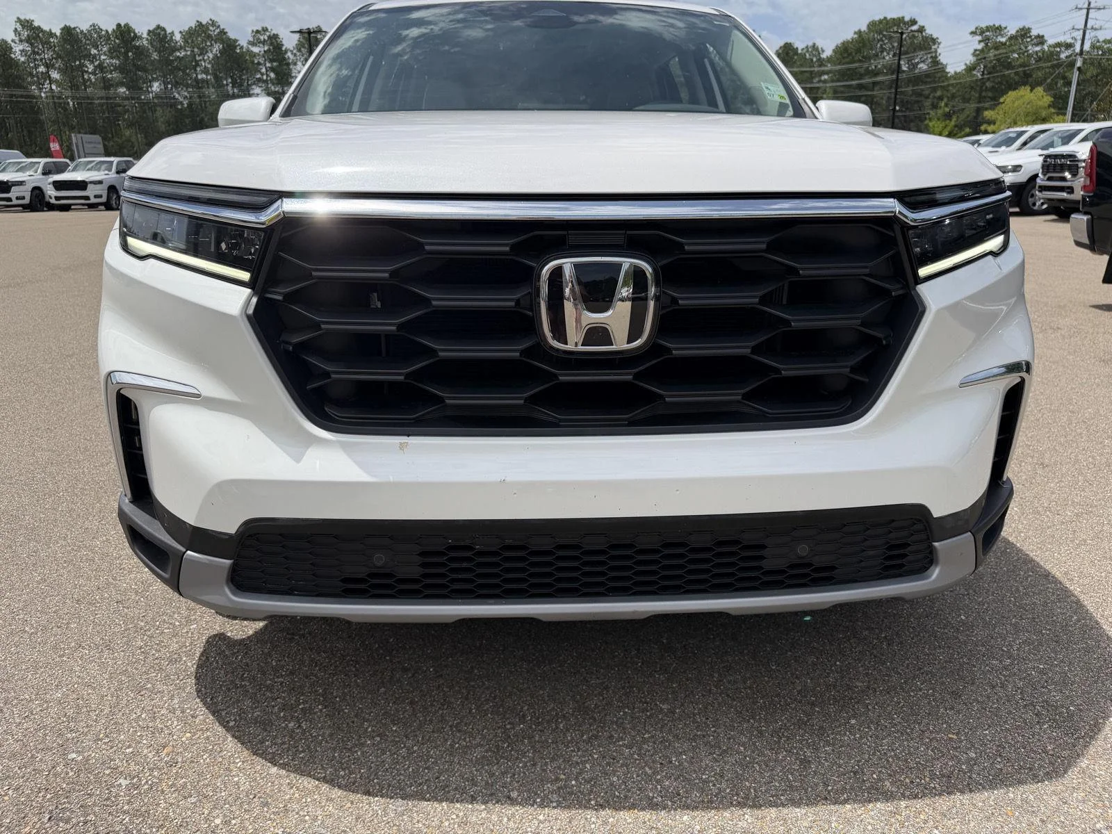 Used 2025 Platinum White Pearl Honda EX-L image 24
