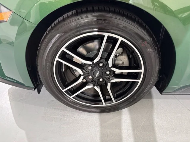 Used 2022 Green Ford EcoBoost image 4