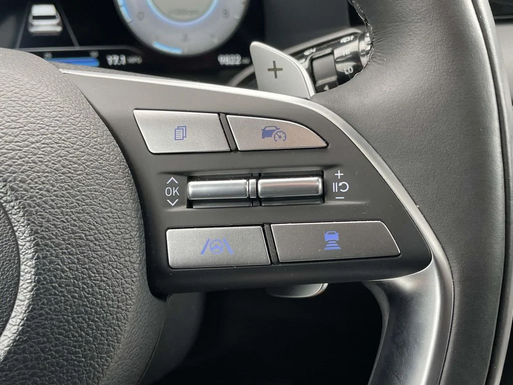 2025 Hyundai Palisade Calligraphy - Photo 14