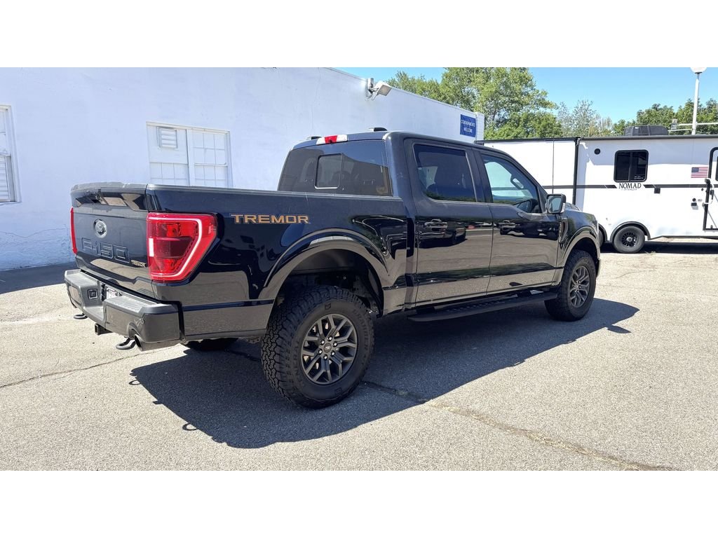 2021 Ford F-150 Tremor - Photo 9