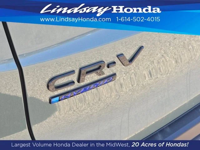 New 2026 Ash Green Metallic Honda TrailSport image 14