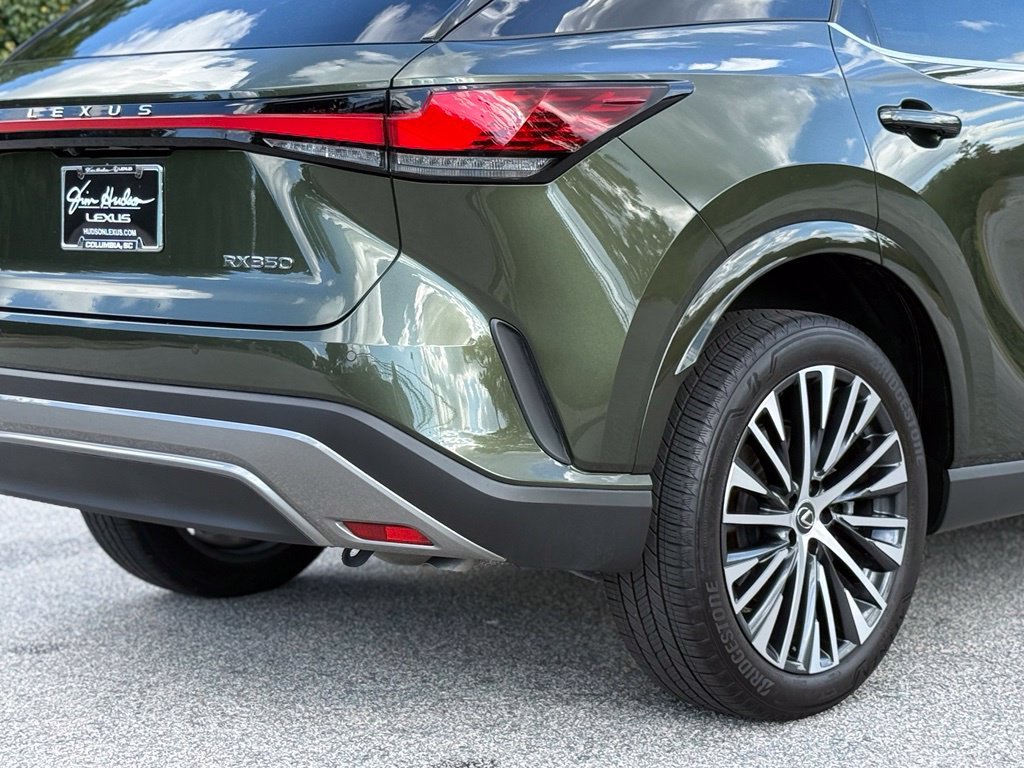 2025 Lexus RX 350 - Photo 15