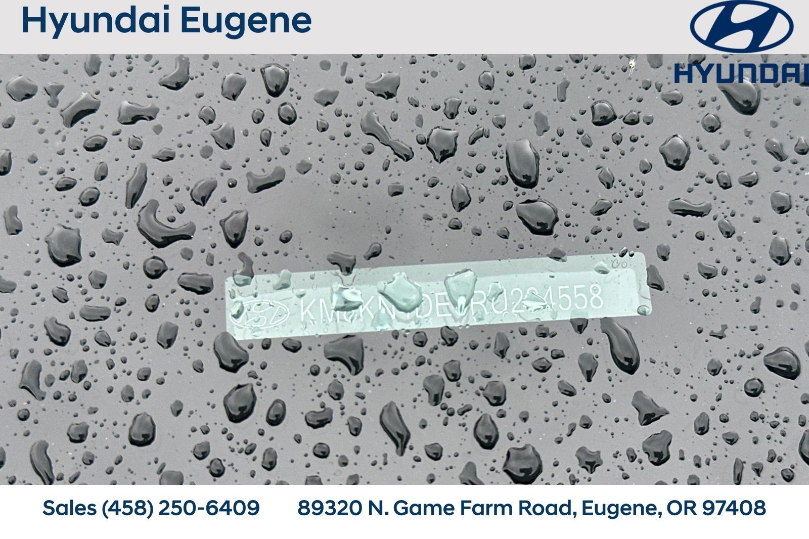 Used 2024 Hyundai IONIQ 5 SEL with VIN KM8KN4DE9RU284558 for sale in Eugene, OR