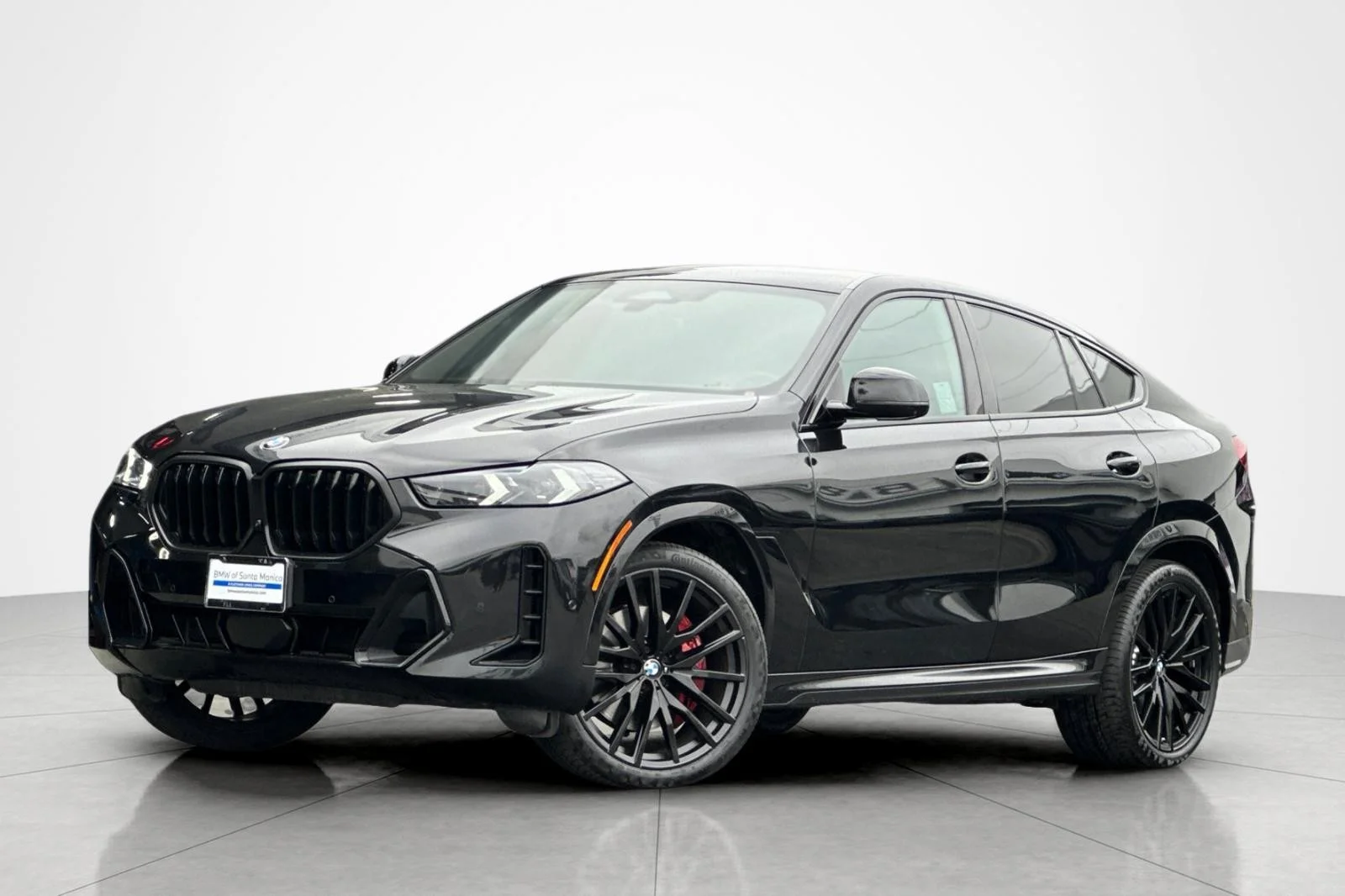 2025 BMW X6