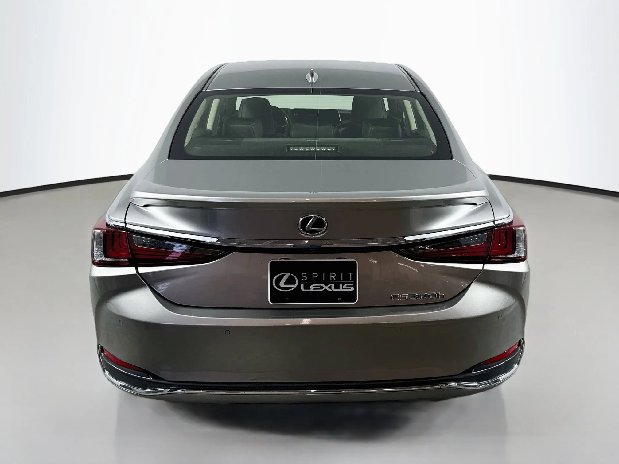 Used 2019 Silver Lexus 300h Luxury image 6