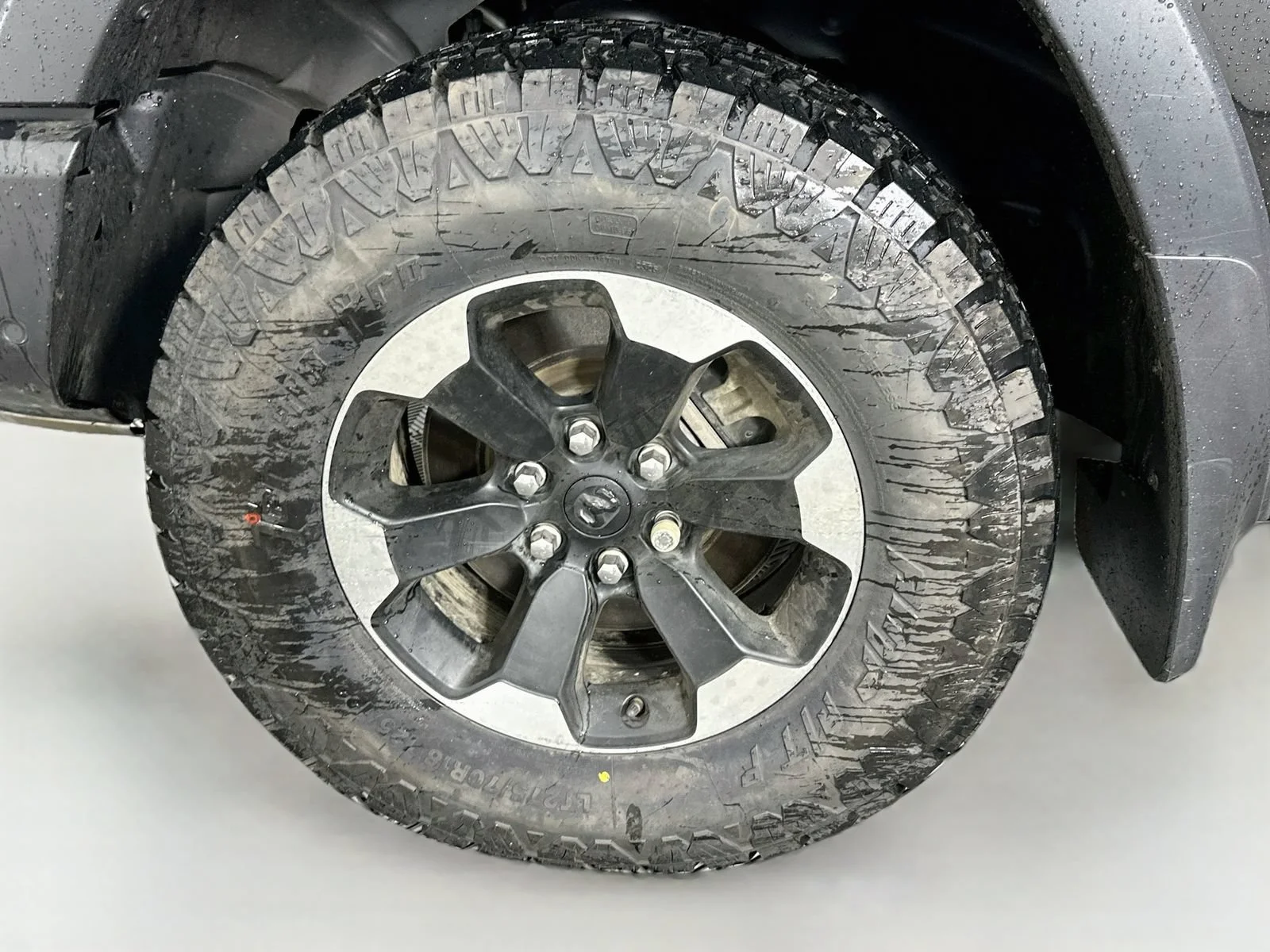 Used 2023 Black Ram Rebel image 33