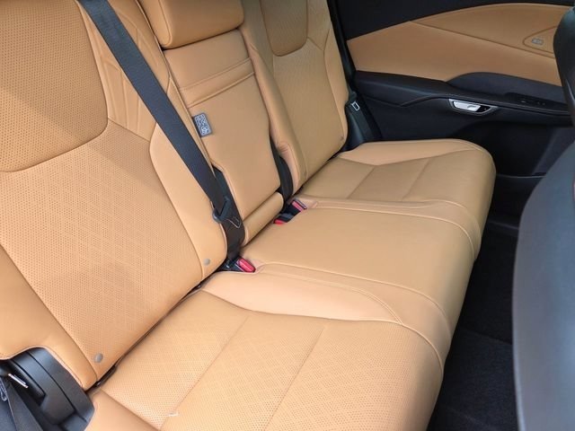 New 2026 Iridium Lexus PREMIUM PLUS image 5