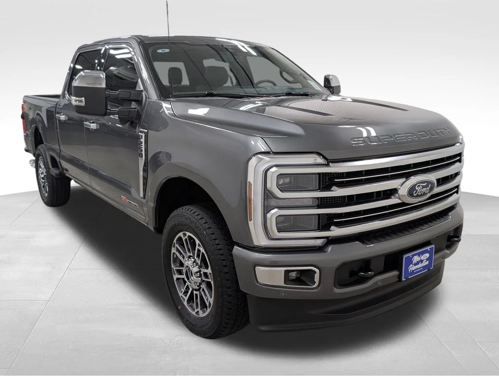 New 2026 Gray Ford Platinum image 26