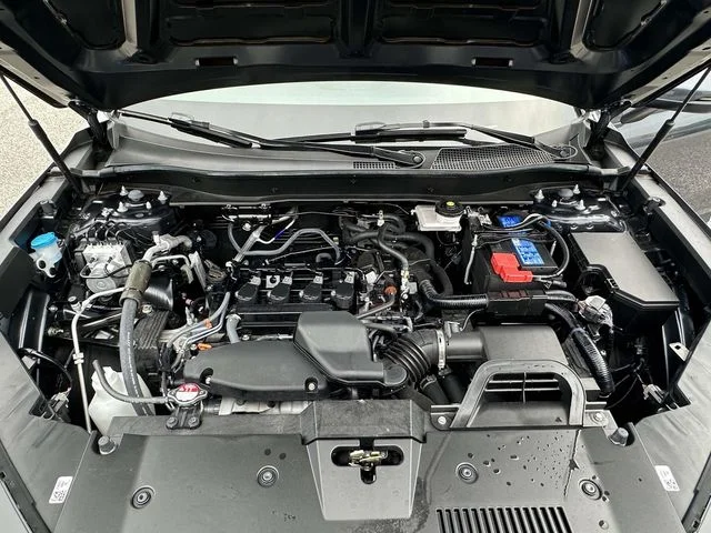Used 2025 Gray Honda LX image 12