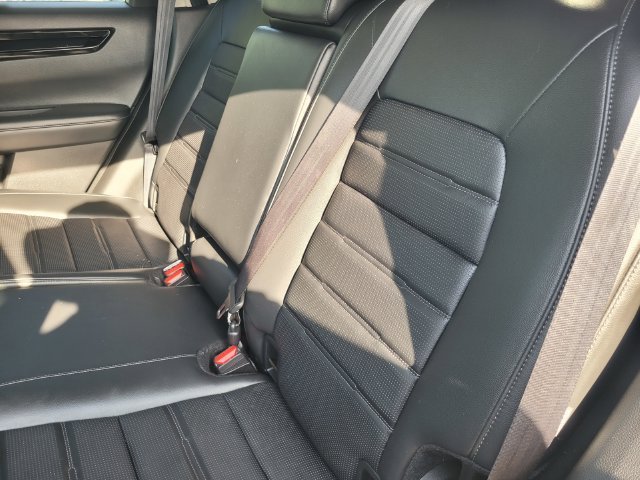 Used 2024  Honda EX-L image 15