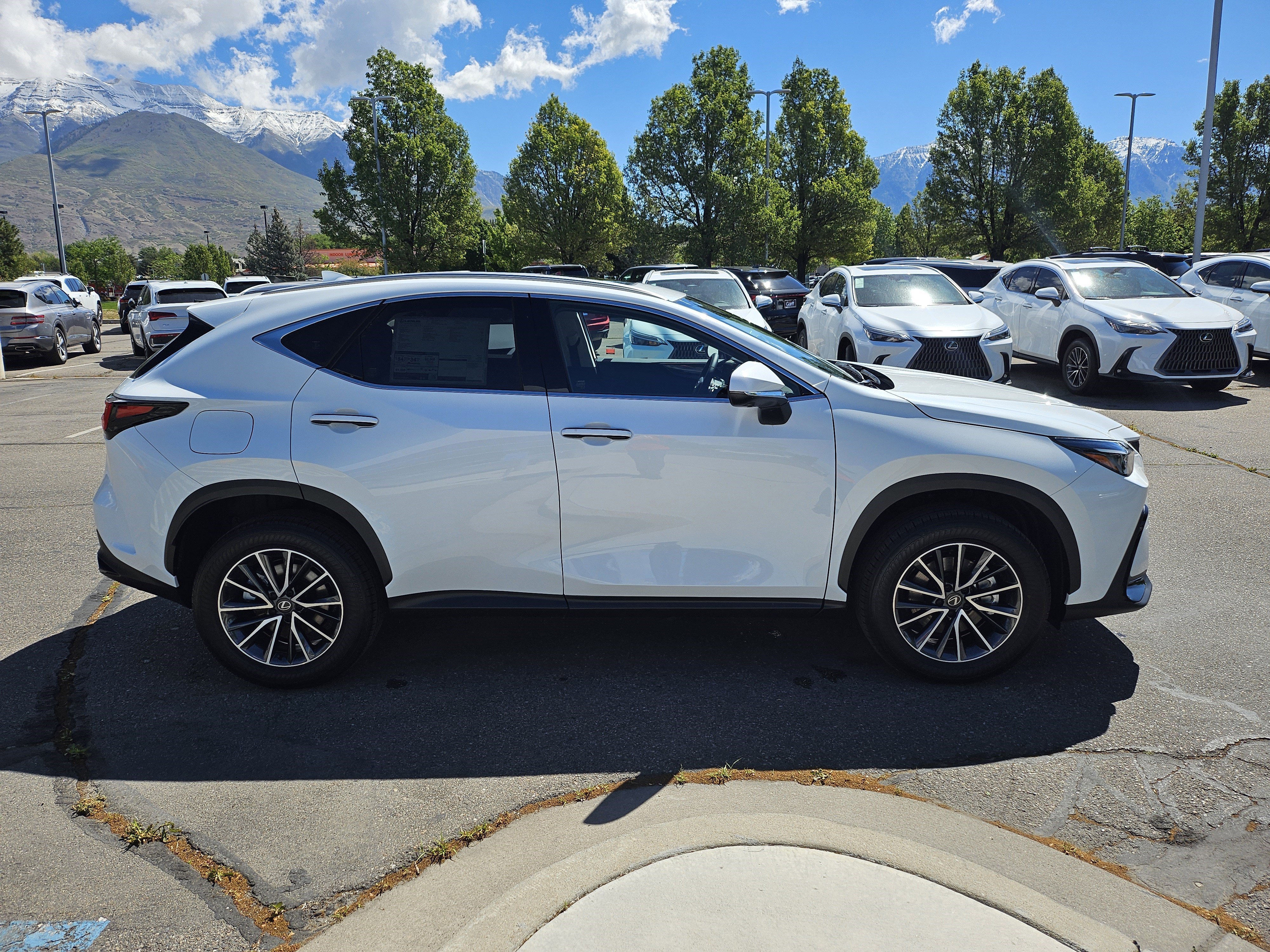 New 2026 Ultra White Lexus PREMIUM PLUS AWD image 4