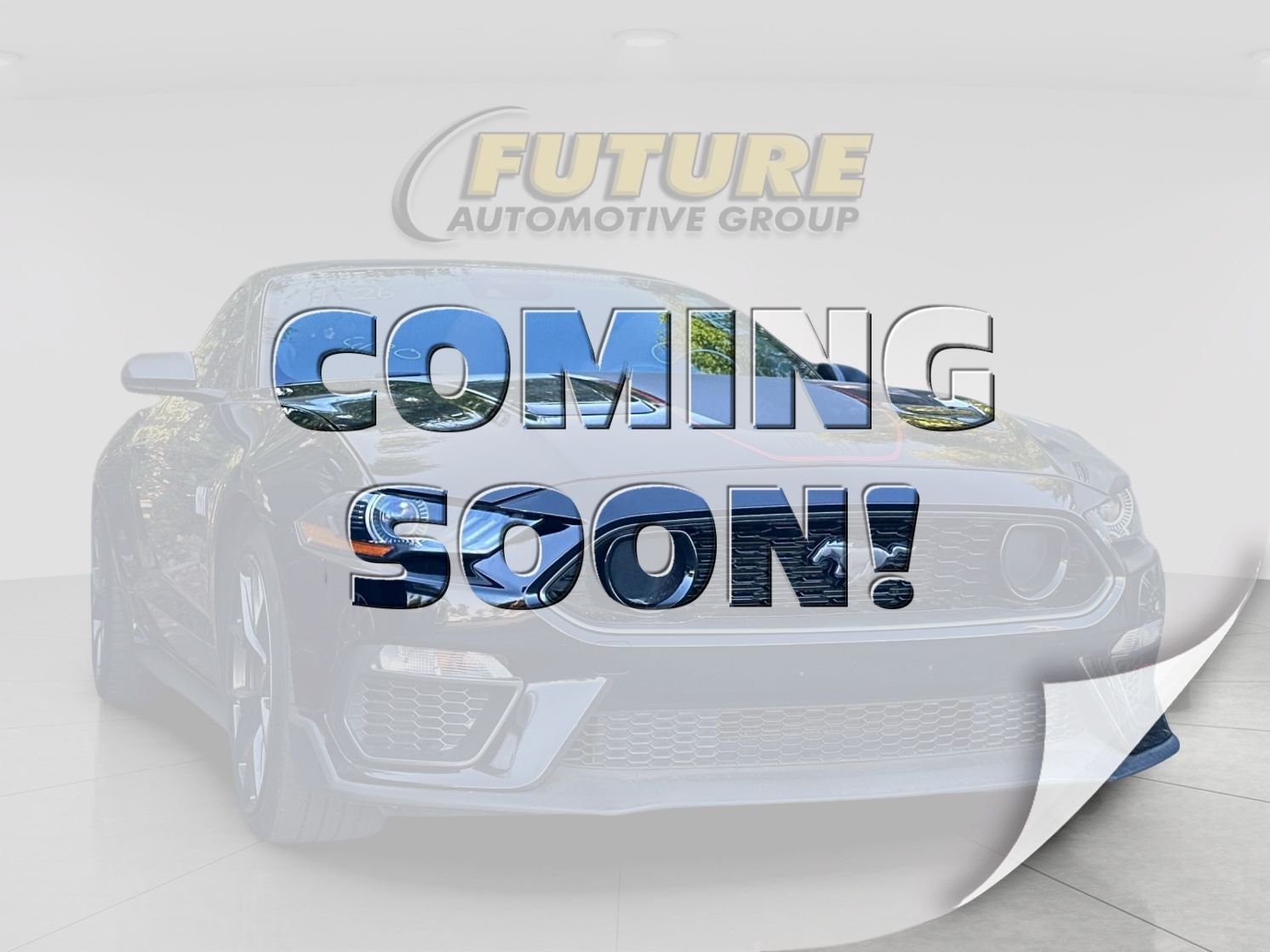 Used 2021 Black Ford Mach 1 image 1