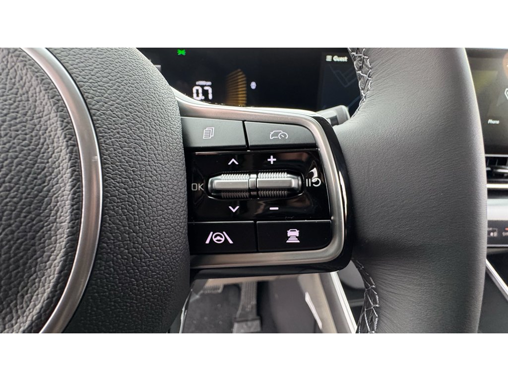New 2026 Panthera Metal Kia LX image 11