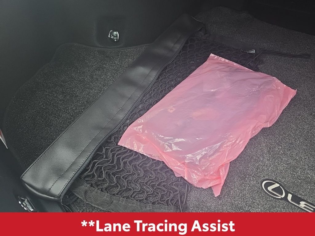 2024 Lexus ES 350 - Photo 15